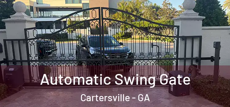 Automatic Swing Gate Cartersville - GA