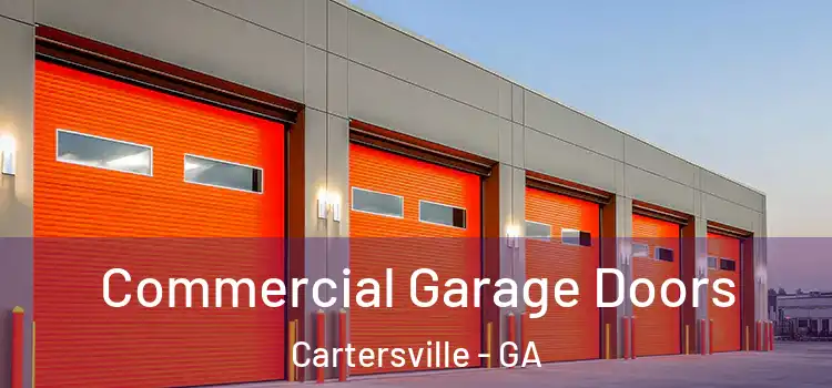  Commercial Garage Doors Cartersville - GA