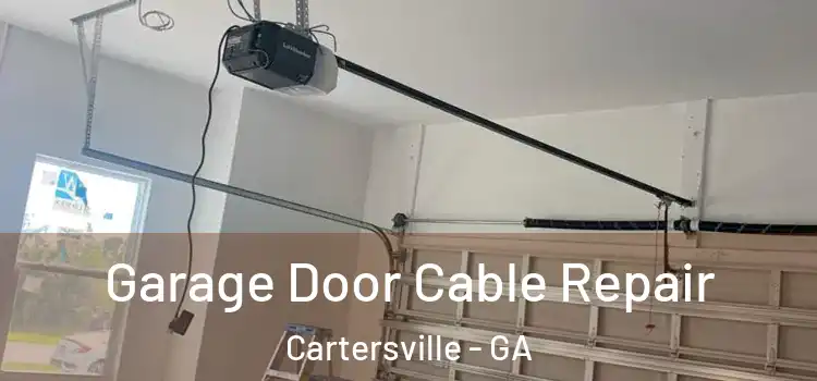  Garage Door Cable Repair Cartersville - GA