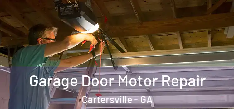  Garage Door Motor Repair Cartersville - GA