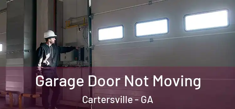  Garage Door Not Moving Cartersville - GA