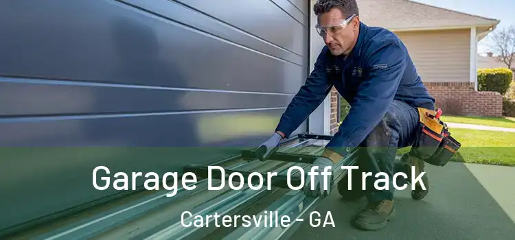  Garage Door Off Track Cartersville - GA