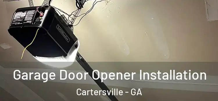  Garage Door Opener Installation Cartersville - GA