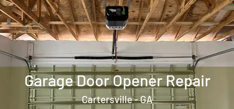  Garage Door Opener Repair Cartersville - GA