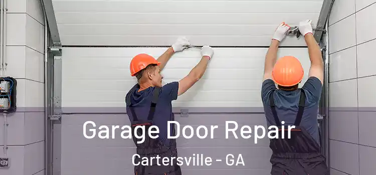  Garage Door Repair Cartersville - GA