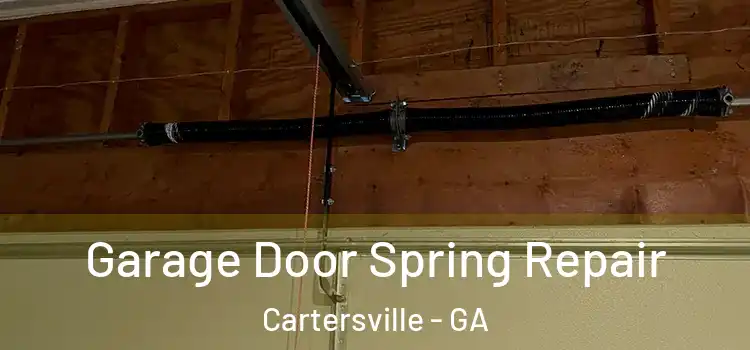  Garage Door Spring Repair Cartersville - GA