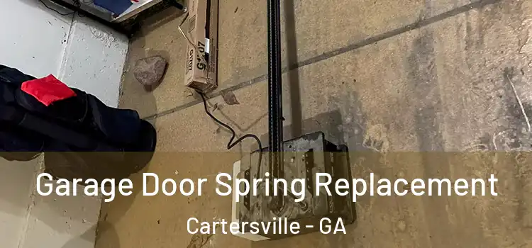  Garage Door Spring Replacement Cartersville - GA