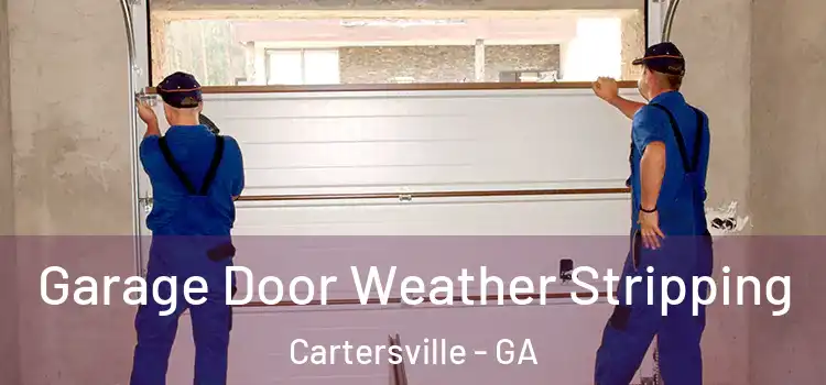  Garage Door Weather Stripping Cartersville - GA