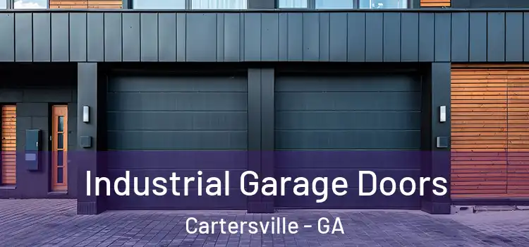  Industrial Garage Doors Cartersville - GA
