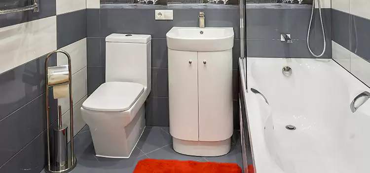 Hansgrohe Shaving Mirror Cartersville