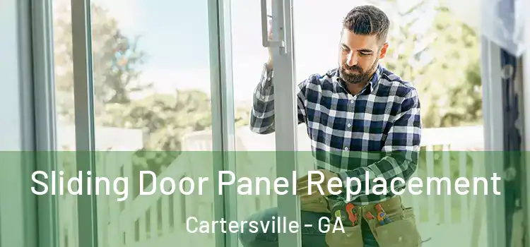  Sliding Door Panel Replacement Cartersville - GA