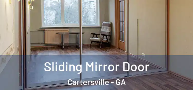  Sliding Mirror Door Cartersville - GA